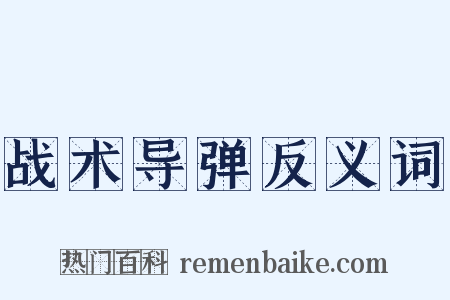 战术导弹反义词是什么意思的图片
